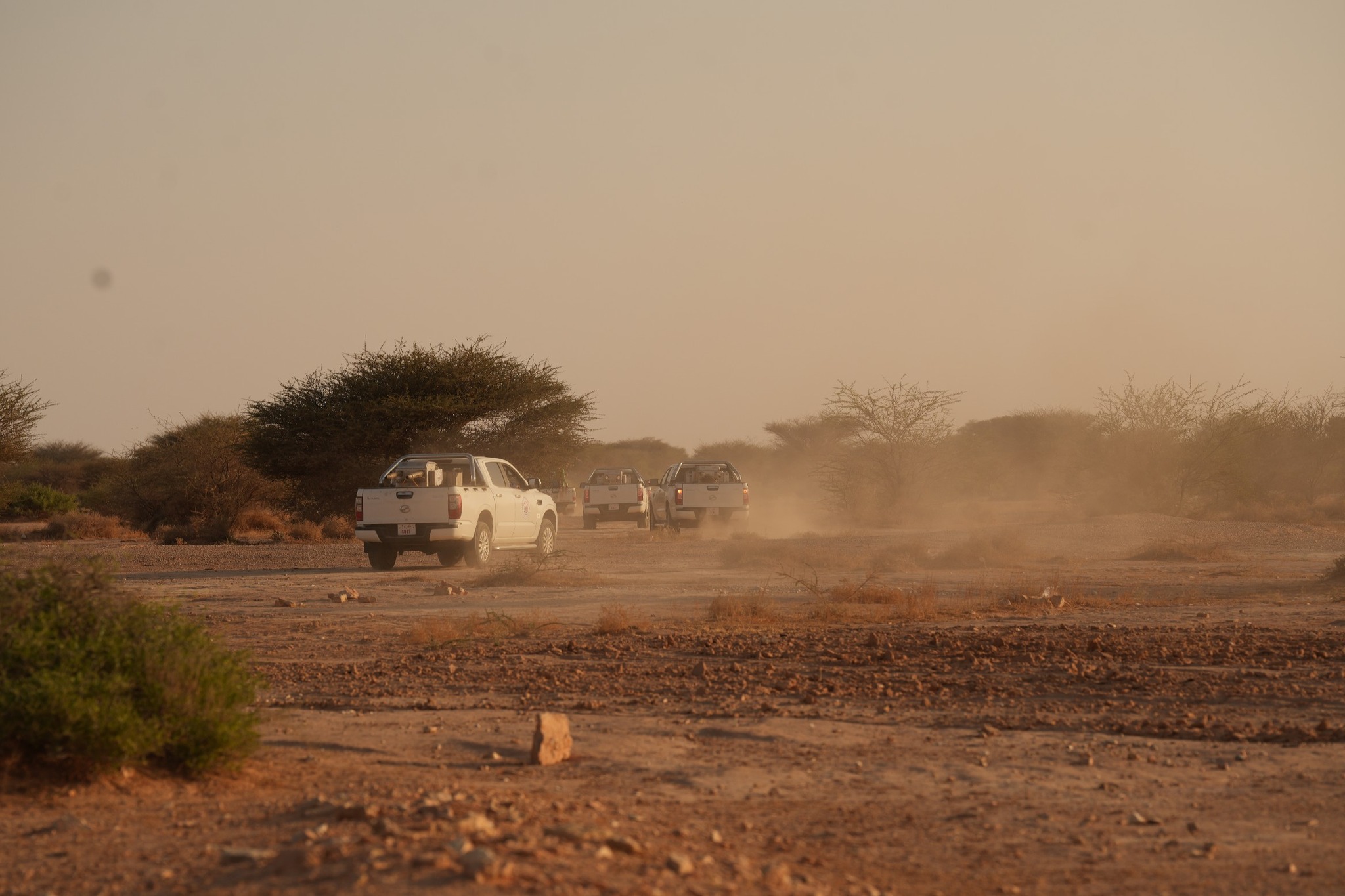 تقنيات حديثة في مكافحة الجراد المحلي