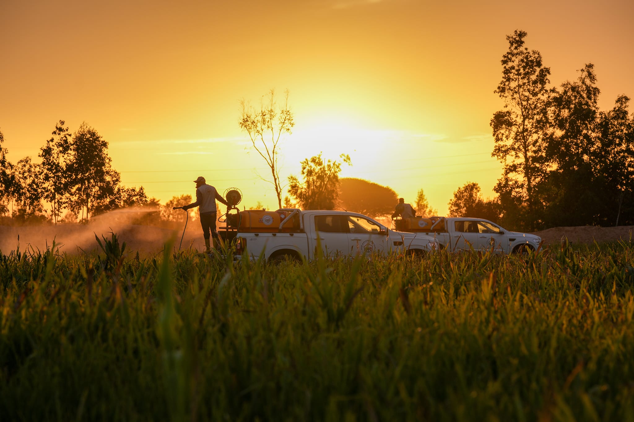 تأثير السياسات الوقائية على تحسين الإنتاج